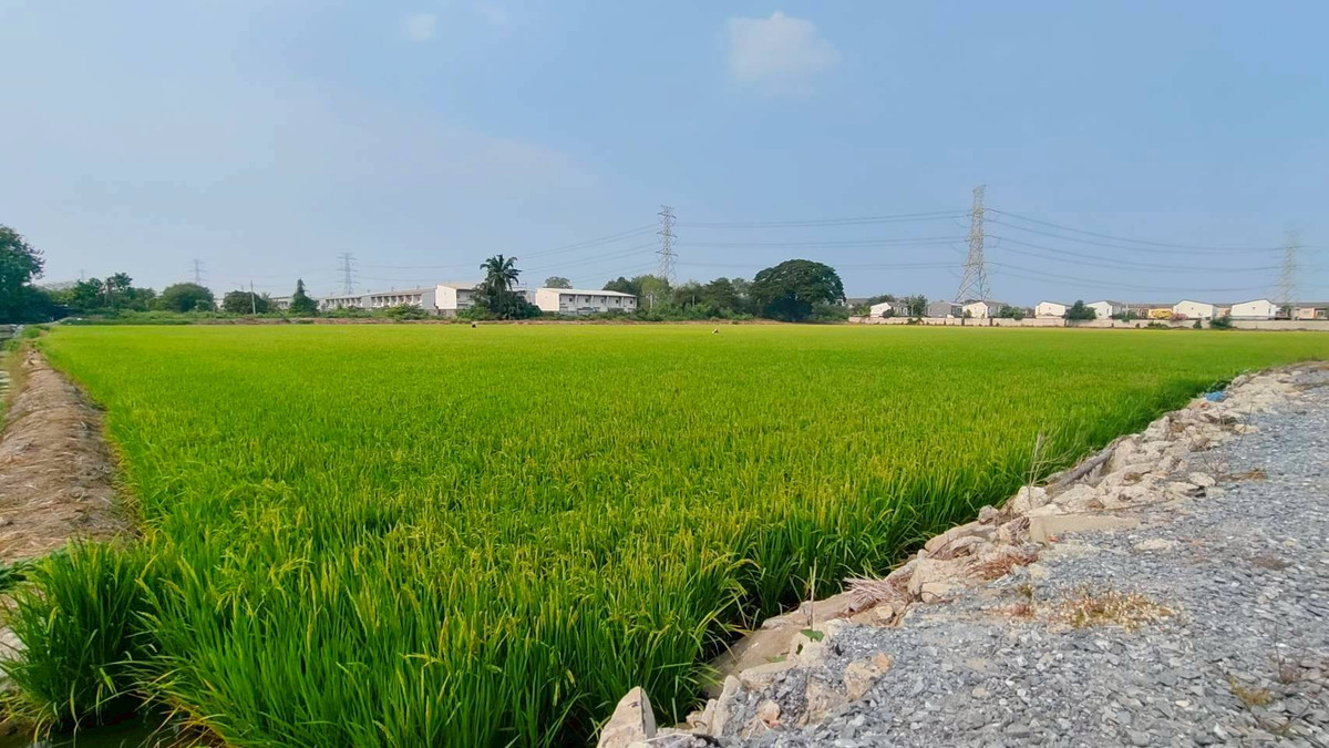 ขาย ที่ดินแปลงใหญ่ 19 ไร่ 2งาน 27 ตร.ว.  ทำเลดี นนทบุรี ไทรน้อย หลังห้าง Big c