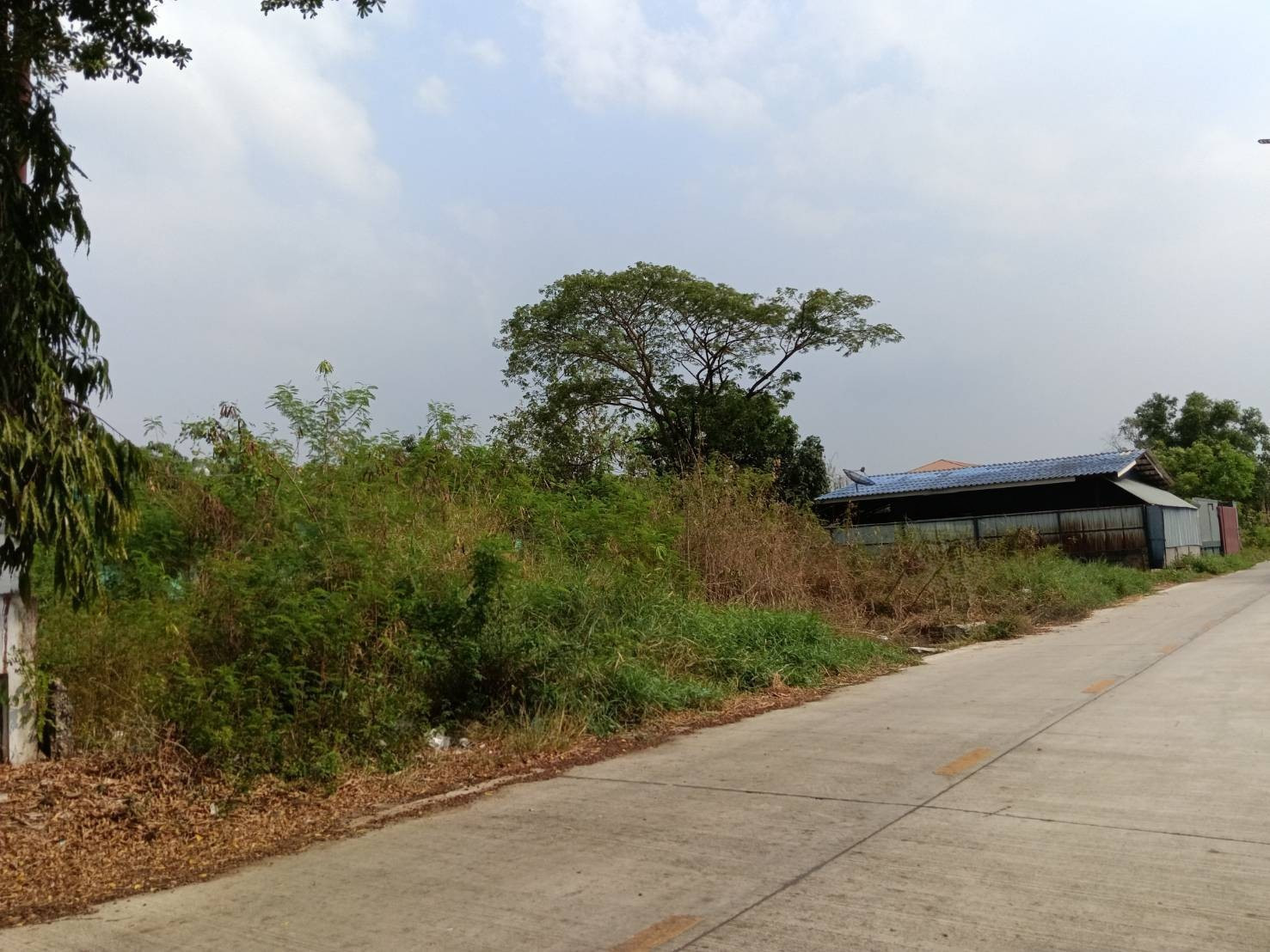 ขาย ที่ดิน 219 ตร.ว. ที่ดินสวย ทำเลดี คลองหลวง – คลองสี่ ปทุมธานี