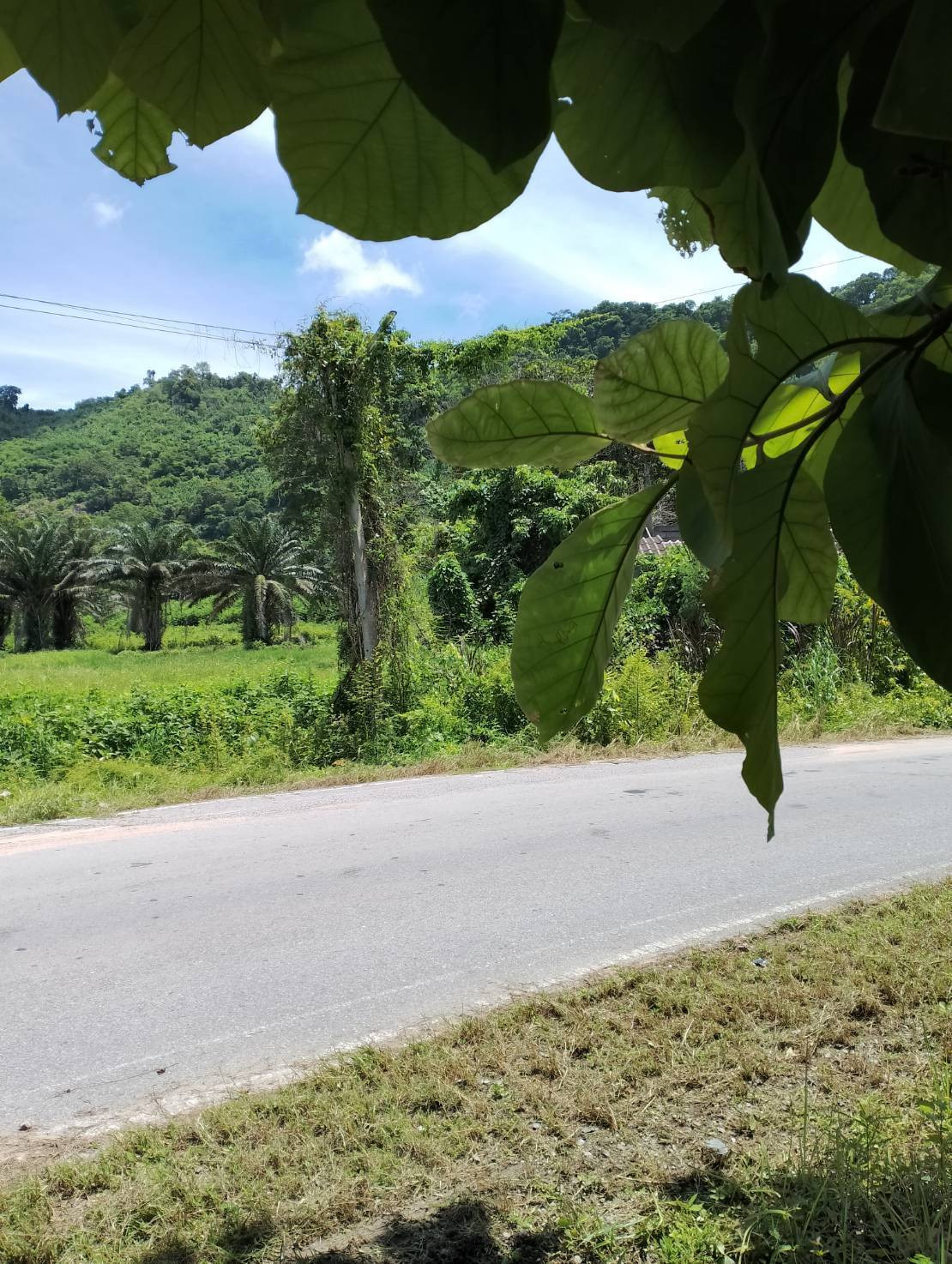 ขาย ที่ดิน 5 ไร่ 28.9 ตร.ว. วิวเขา ทำเลสวย เขาพระ จ.นครนายก