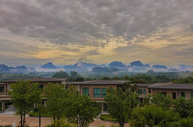 banner-project-details